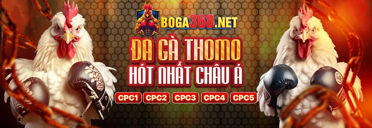 Giao diện đăng nhập an toàn của mb5 nhà cái